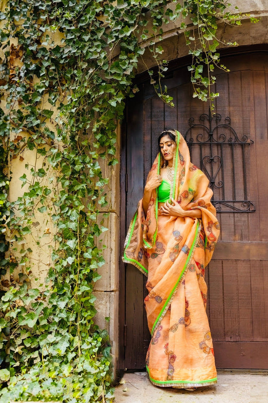 Meera handpainted organza saree available online in the USA