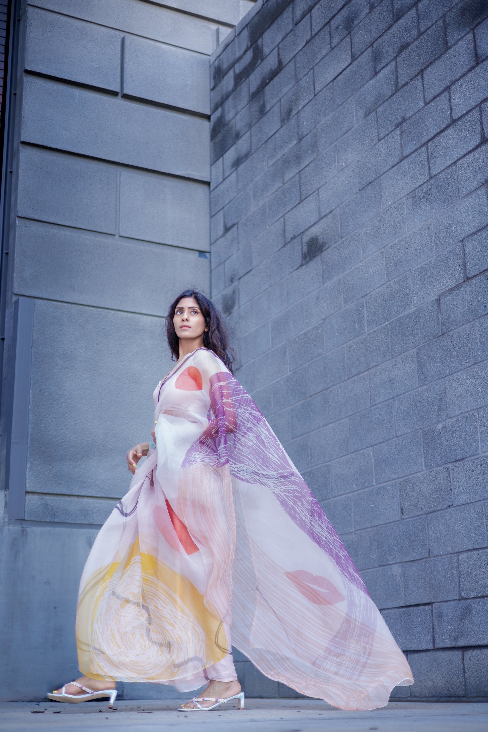 Ēka | Abstract Organza Designer Saree