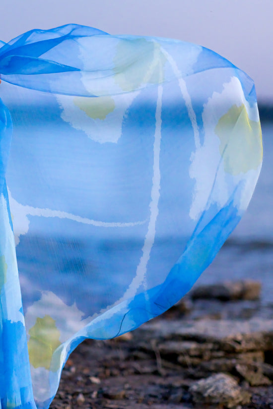 lightweight organza saree with matching blouse