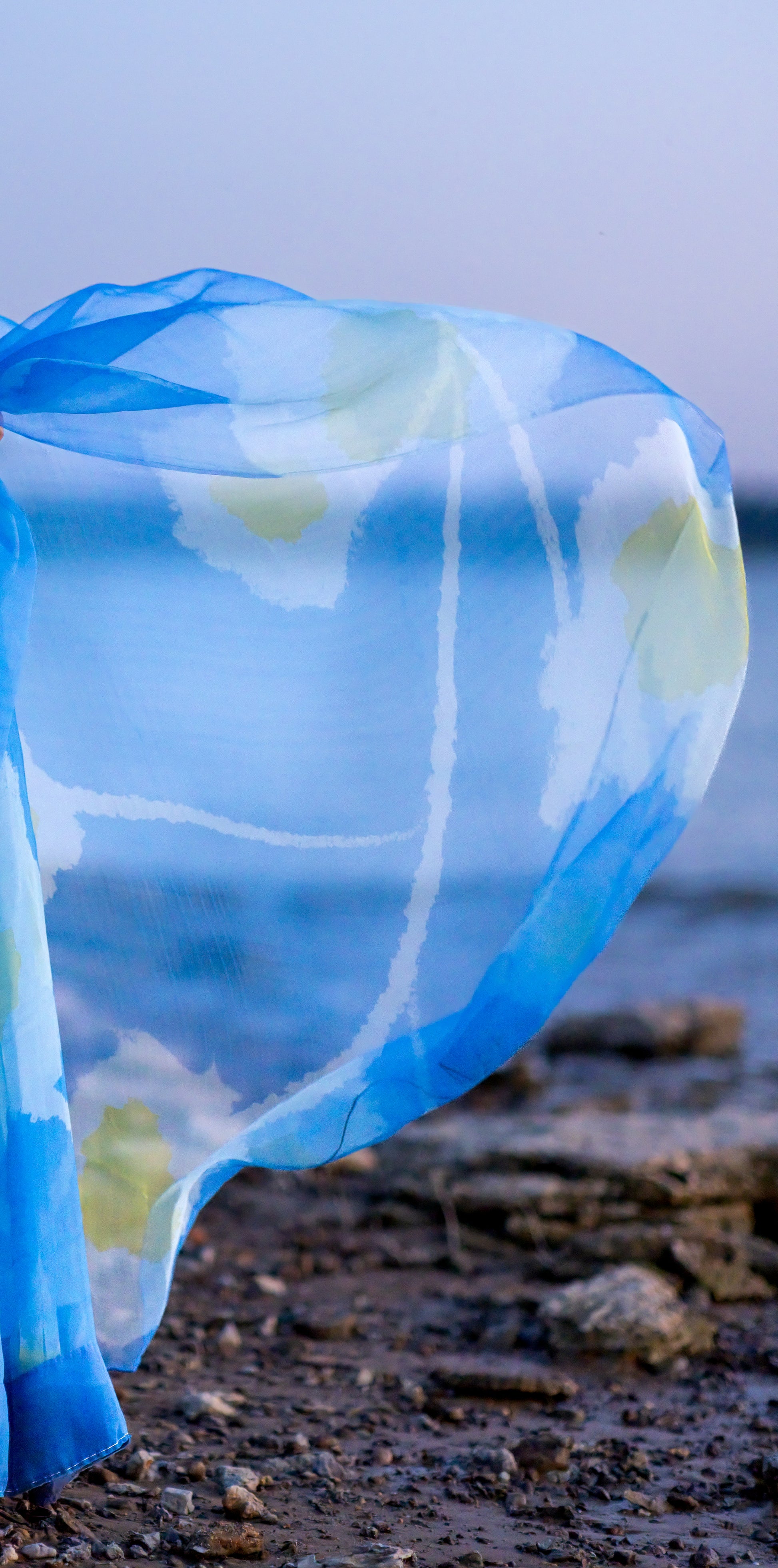 lightweight organza saree with matching blouse