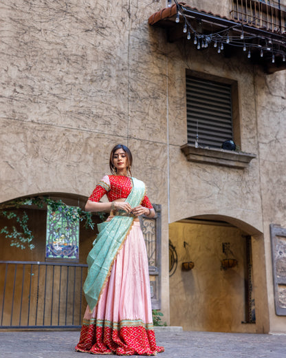 Pari: Pastel Pink Raw Silk Lehenga with Red Pattu Silk Border