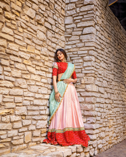 Pari: Pastel Pink Raw Silk Lehenga with Red Pattu Silk Border