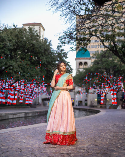 Pari: Pastel Pink Raw Silk Lehenga with Red Pattu Silk Border