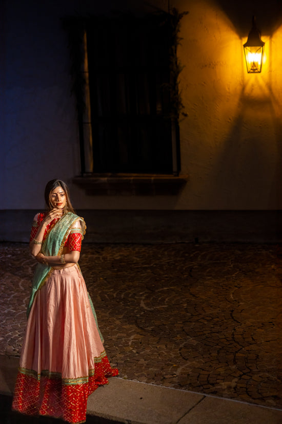 Pastel Pink Raw Silk Lehenga with Red Pattu Border – Buy in USA