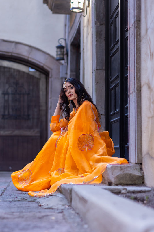 Tamara – Sunkissed Orange Pure Organza Silk Saree with Hand-Embroidered Lotus Leaves & Sequin Pallu